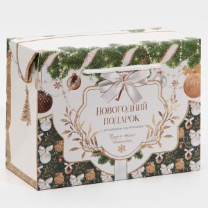 Пакет — коробка подарочный новогодний «Подарок для тебя», 23×18×11 см