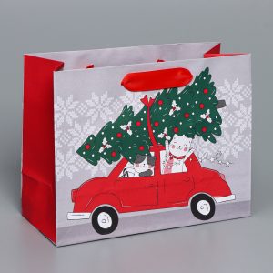 Пакет подарочный новогодний крафтовый «Спешу к тебе», MS 23×18×10 см