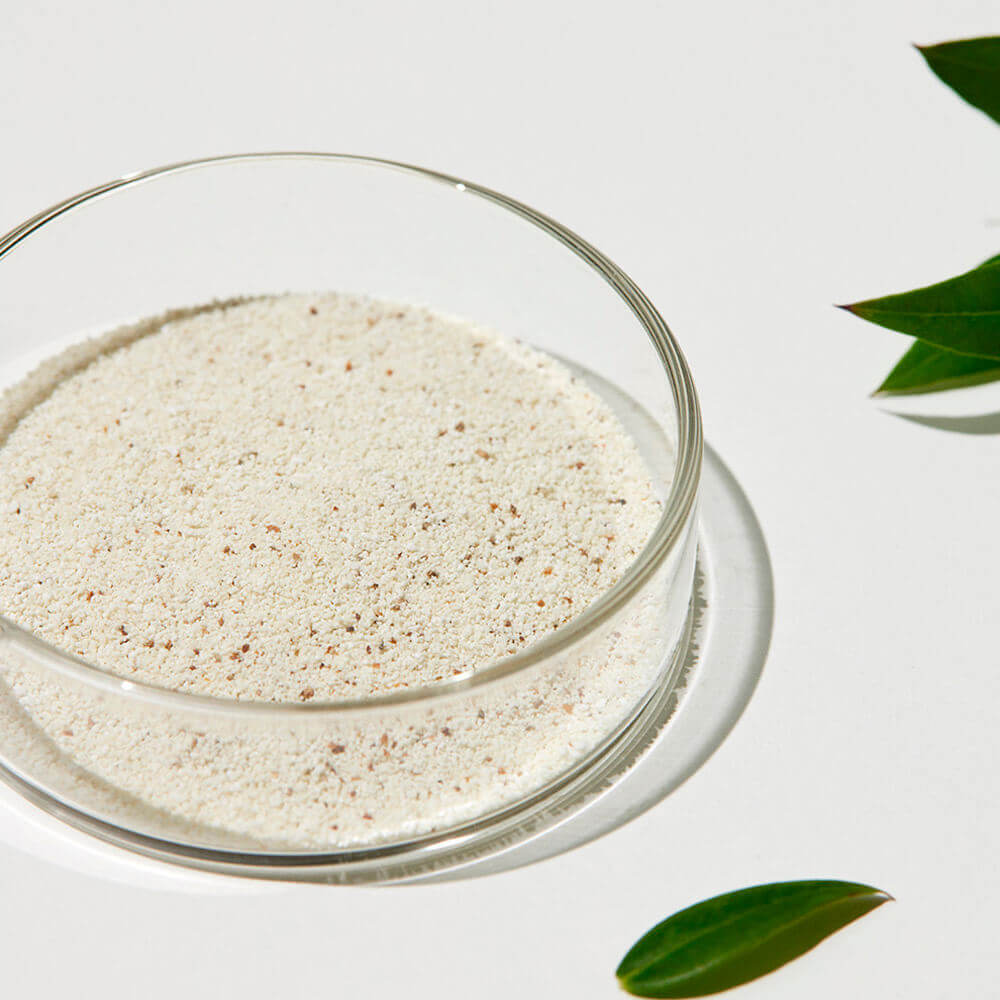 Энзимная пудра для очищения пор Sungboon Editor